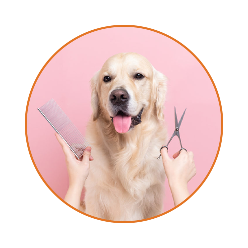 Dog Grooming Supplies