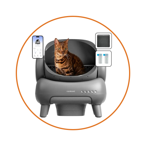 Cat Litter Box