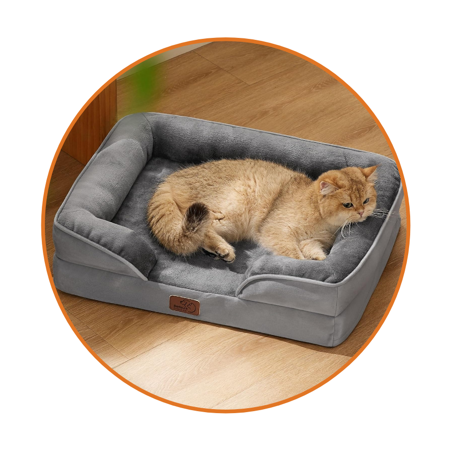 Cat Bed