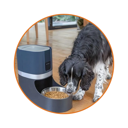 Dog Smart Feeders