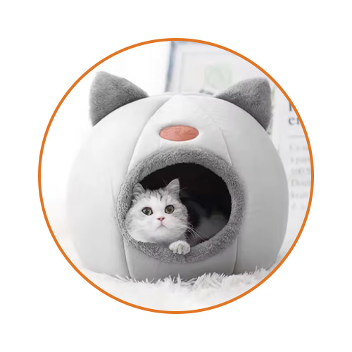 Cat House