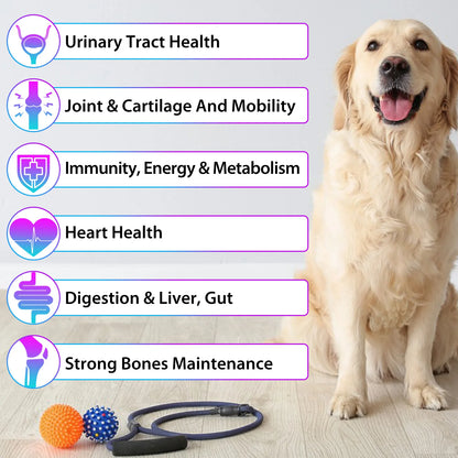 15 in 1 Multivitamin for Dog Helps with Immune System Skin & Coat Health Heart Health Support Bone & Joints Dogs Enjoy The Taste