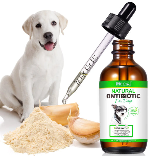 AEVYVKV Natural Antibiotic Liquid Supplement for Dogs – Allergy & Itch Relief, Anti-Inflammatory & Antifungal with Multivitamins - Bdba PK