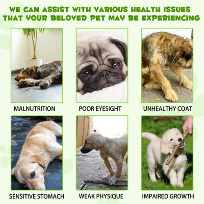 3-in-1 Probiotics Pre & Probiotics with Enzymes for All Dogs Maintain Gut Immunity Support Digestive Provide Beneficial Bacteria