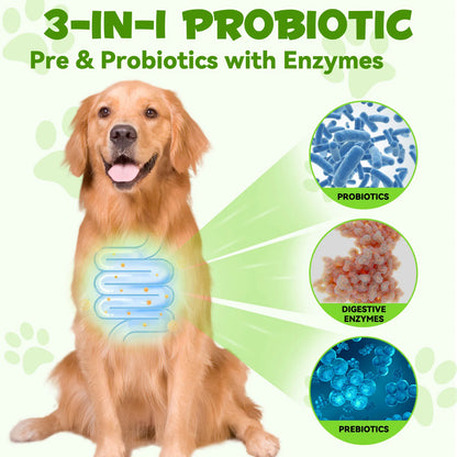 3-in-1 Probiotics Pre & Probiotics with Enzymes for All Dogs Maintain Gut Immunity Support Digestive Provide Beneficial Bacteria