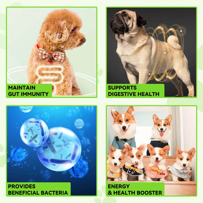 3-in-1 Probiotics Pre & Probiotics with Enzymes for All Dogs Maintain Gut Immunity Support Digestive Provide Beneficial Bacteria