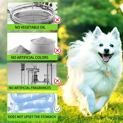 3-in-1 Probiotics Pre & Probiotics with Enzymes for All Dogs Maintain Gut Immunity Support Digestive Provide Beneficial Bacteria