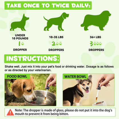 3-in-1 Probiotics Pre & Probiotics with Enzymes for All Dogs Maintain Gut Immunity Support Digestive Provide Beneficial Bacteria