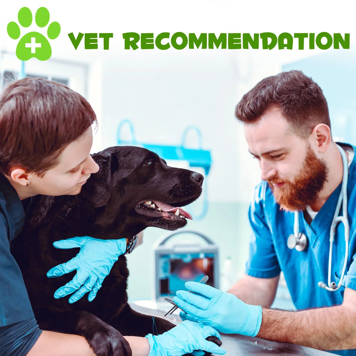 3-in-1 Probiotics Pre & Probiotics with Enzymes for All Dogs Maintain Gut Immunity Support Digestive Provide Beneficial Bacteria