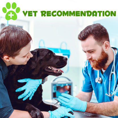 3-in-1 Probiotics Pre & Probiotics with Enzymes for All Dogs Maintain Gut Immunity Support Digestive Provide Beneficial Bacteria