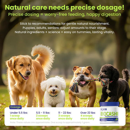Premium Dog Probiotic Chews – Digestive Health Support for All Breeds - Bdba PK
