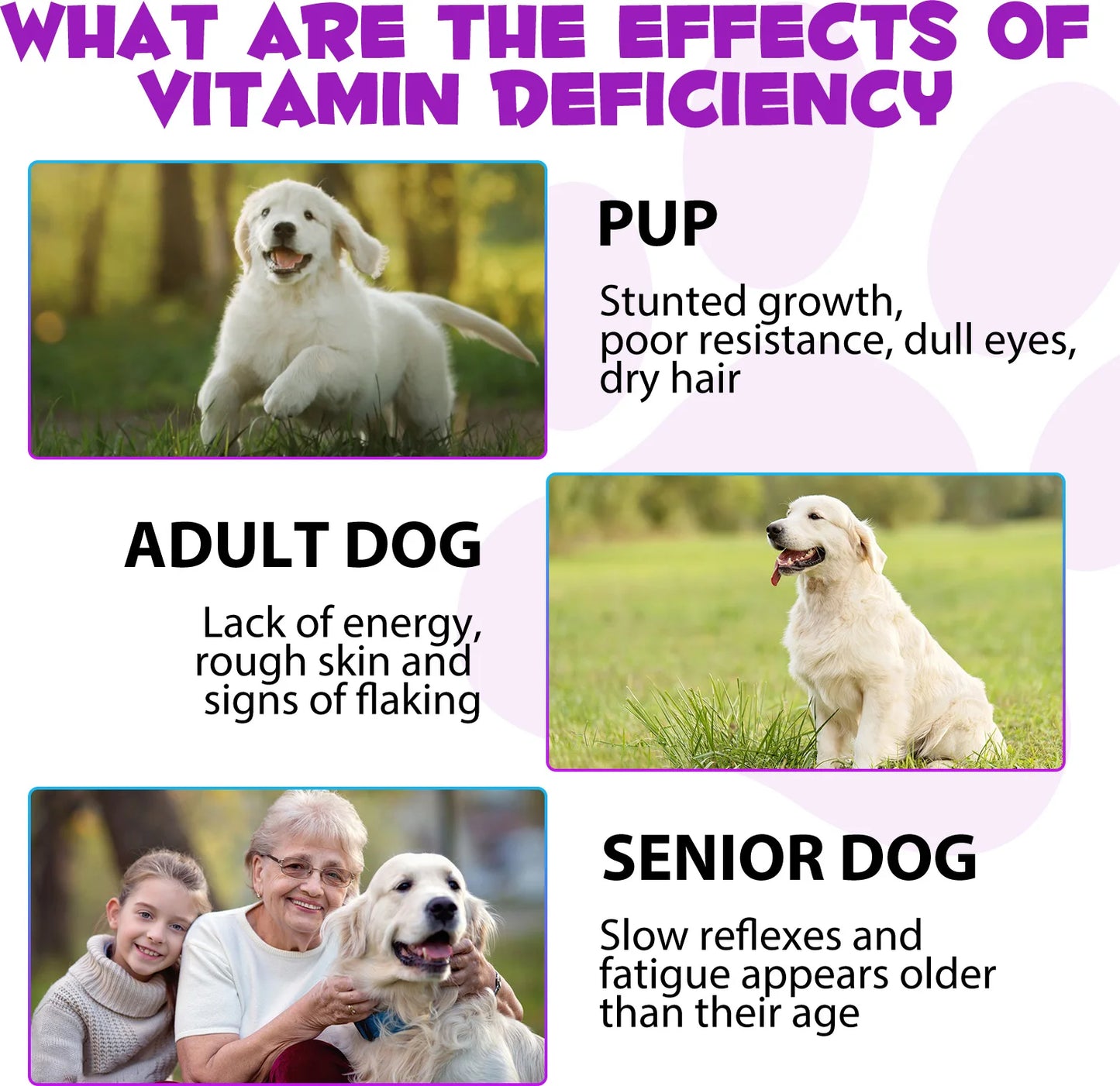 15 in 1 Multivitamin for Dog Helps with Immune System Skin & Coat Health Heart Health Support Bone & Joints Dogs Enjoy The Taste