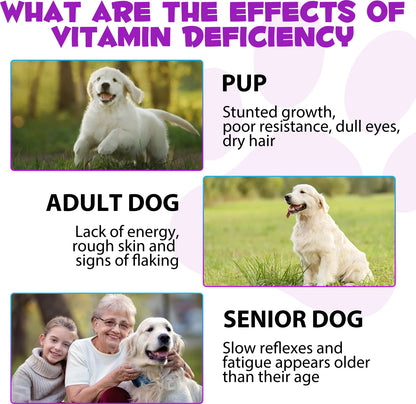 15 in 1 Multivitamin for Dog Helps with Immune System Skin & Coat Health Heart Health Support Bone & Joints Dogs Enjoy The Taste
