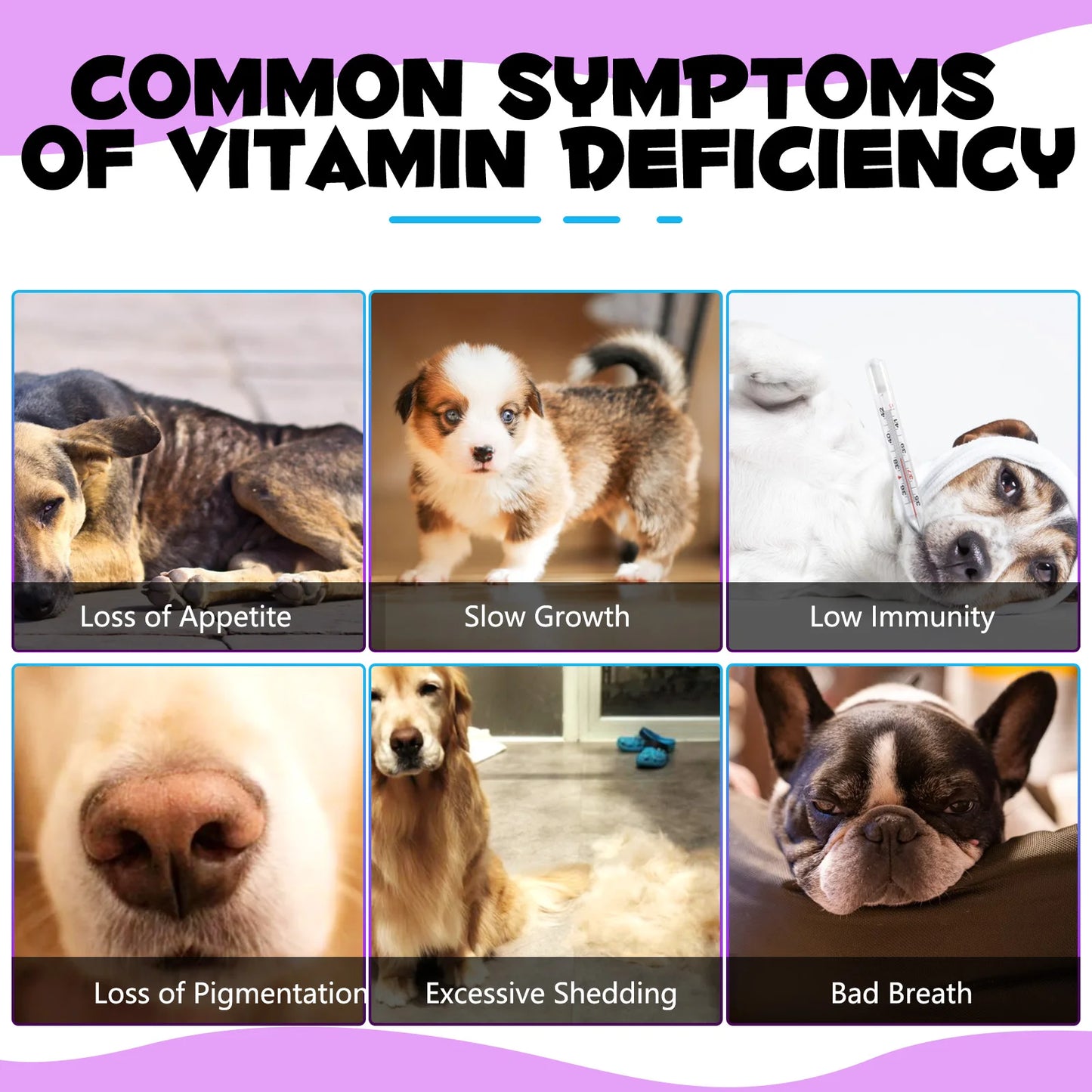 15 in 1 Multivitamin for Dog Helps with Immune System Skin & Coat Health Heart Health Support Bone & Joints Dogs Enjoy The Taste