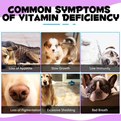15 in 1 Multivitamin for Dog Helps with Immune System Skin & Coat Health Heart Health Support Bone & Joints Dogs Enjoy The Taste