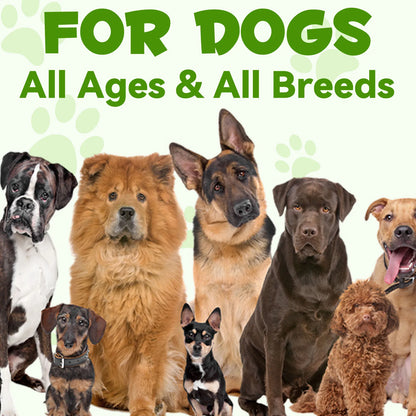 3-in-1 Probiotics Pre & Probiotics with Enzymes for All Dogs Maintain Gut Immunity Support Digestive Provide Beneficial Bacteria