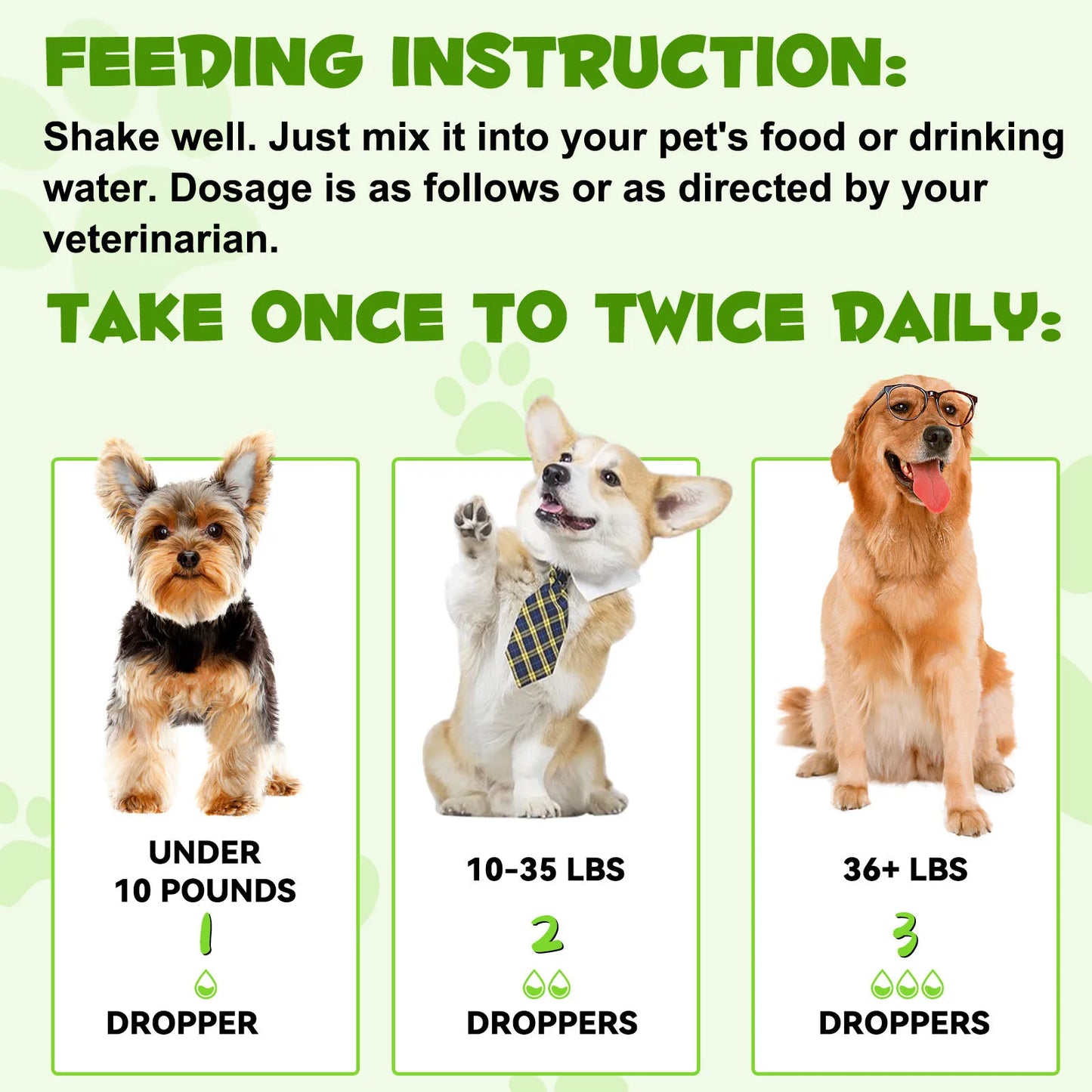 3-in-1 Probiotics Pre & Probiotics with Enzymes for All Dogs Maintain Gut Immunity Support Digestive Provide Beneficial Bacteria