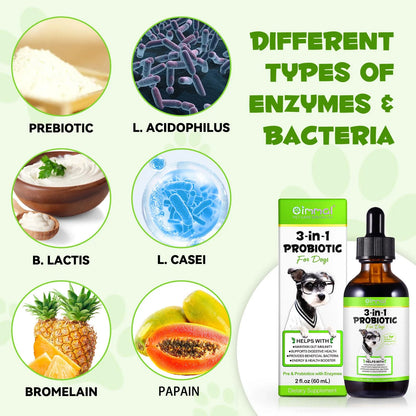 3-in-1 Probiotics Pre & Probiotics with Enzymes for All Dogs Maintain Gut Immunity Support Digestive Provide Beneficial Bacteria