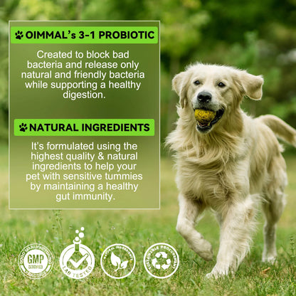 3-in-1 Probiotics Pre & Probiotics with Enzymes for All Dogs Maintain Gut Immunity Support Digestive Provide Beneficial Bacteria