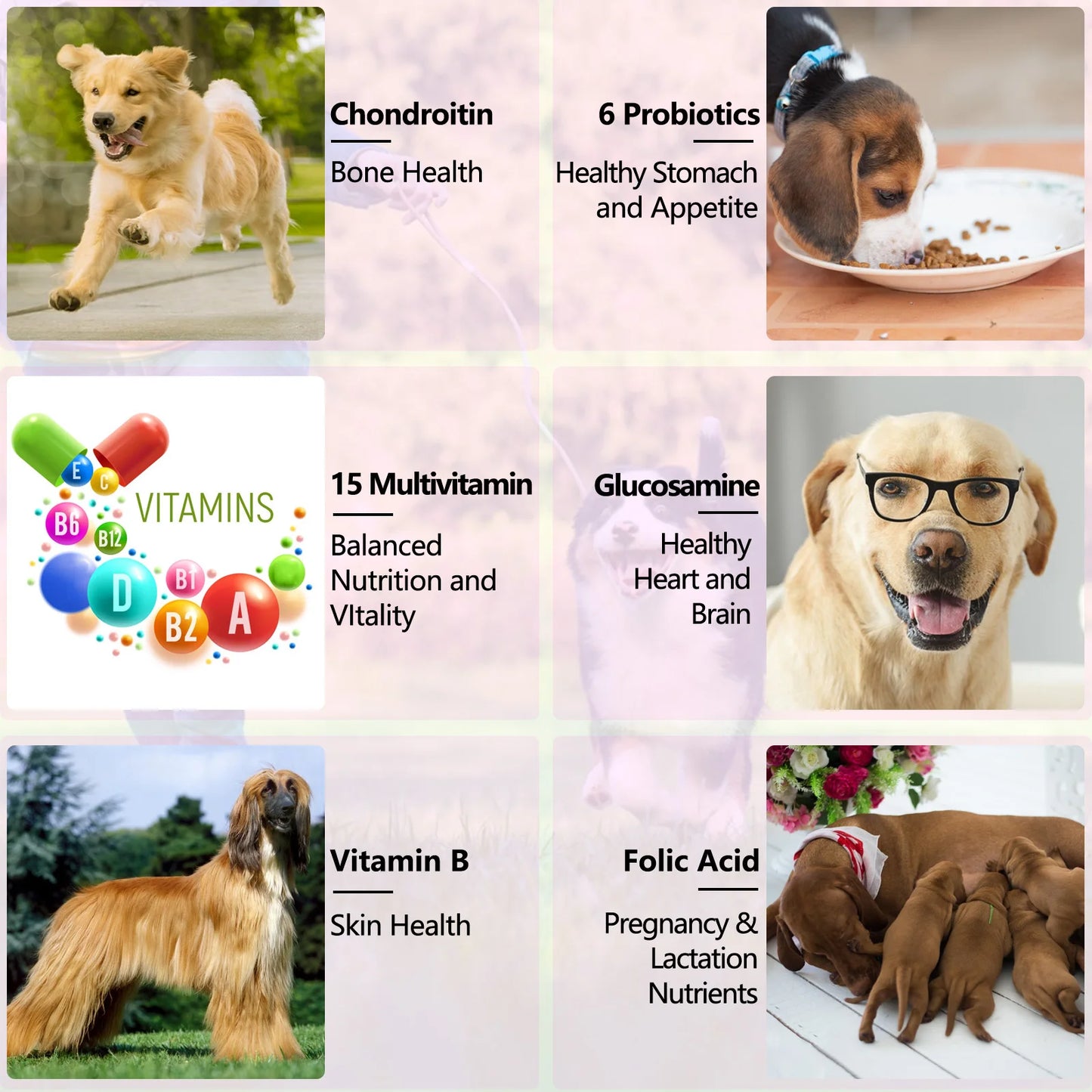 15 in 1 Multivitamin for Dog Helps with Immune System Skin & Coat Health Heart Health Support Bone & Joints Dogs Enjoy The Taste