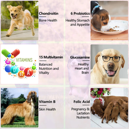 15 in 1 Multivitamin for Dog Helps with Immune System Skin & Coat Health Heart Health Support Bone & Joints Dogs Enjoy The Taste