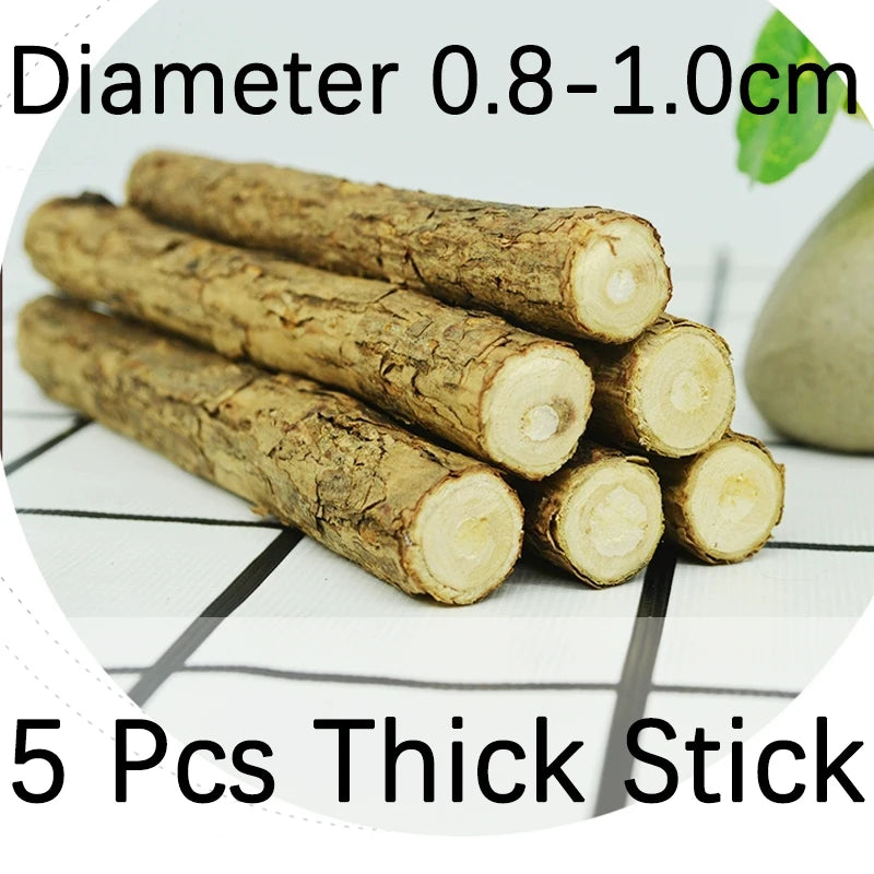 Natural Catnip & Silvervine Molar Sticks – Cat Teeth Cleaning Chew Toys (5–20pcs) - Bdba PK