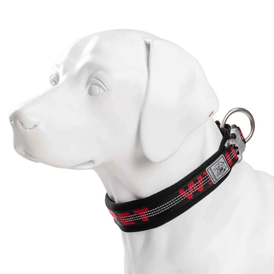 TRUELOVE Pet Collar Best Neoprene Padded 3M Reflective Dog Collar for Large Medium Small Bonus Dog Tracker Tag Feature YC1854