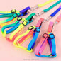 20pcs Durable Colorful Rainbow Pet Dog Collar Chest strap Harness Leash Soft Walking Harness Lead Colorful Nylon Traction Rope