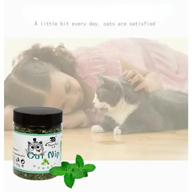 Organic Catnip Toy – Natural Cattle Grass Mint Interactive Toy for Cats - Bdba PK