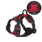 Durable Light Up LED Dog Harness Adjustable Flashing Luminous Pet Chest Strap Padded Collar Soft Dog Glow Vest for Night Walking