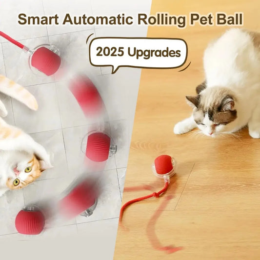 LEMEENQ Auto Rolling Cat Ball Toy – Rechargeable Smart Interactive Mouse Toy with Tail for Cats - Bdba PK