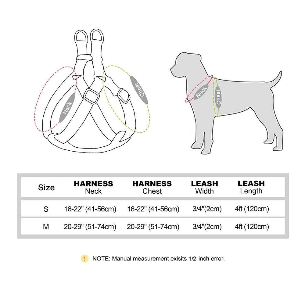 Free Personalized Dog Harness Leash Set PU Leather Dogs Harness Engraved ID Buckle Necklace for Small Medium Large Dogs Pitbull