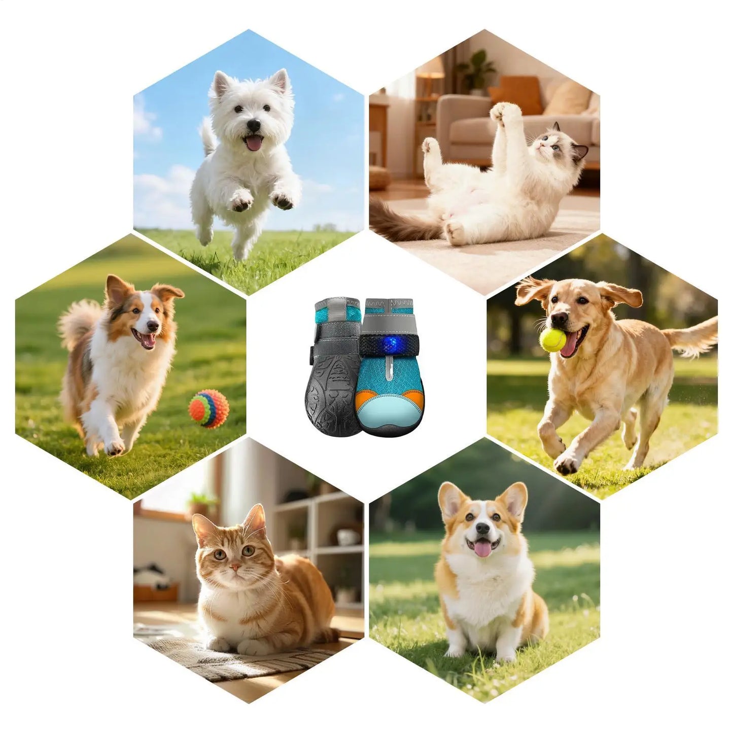 Pet Shoes Anti-Slip Adjustable Pet Boot Glowing Cat Shoes Shiny Boots For Puppy Kitten Summer Outdoor Night Walks Training