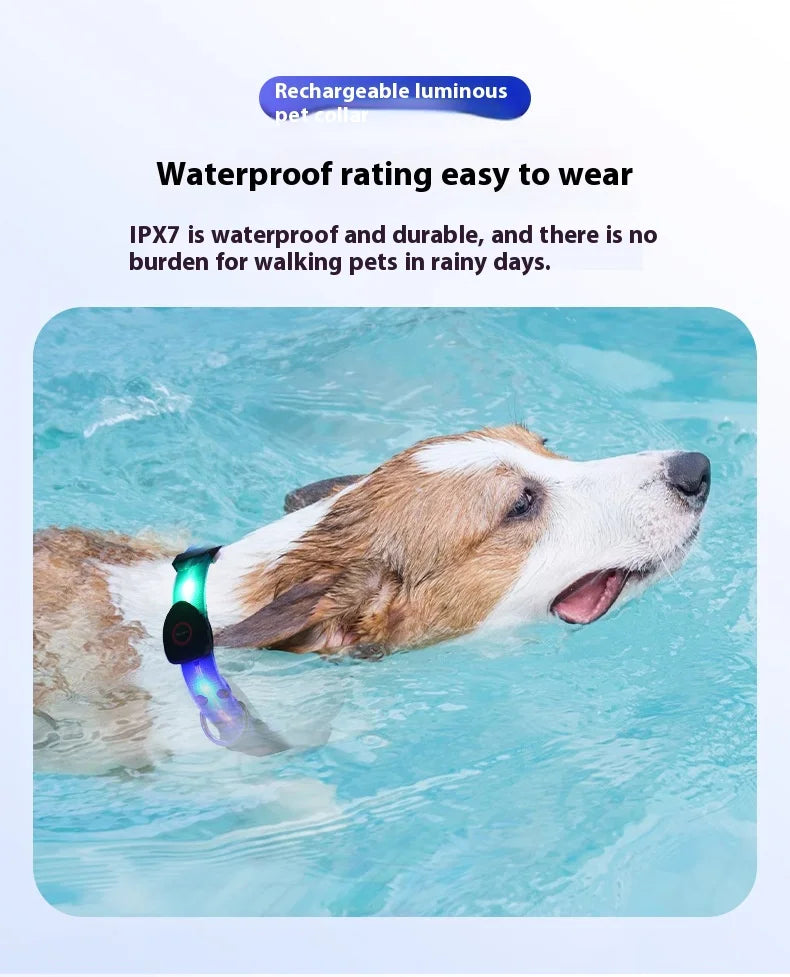 Dog Colorful Led Dog Luminous Collar Rechargeable Luminous Dog Rope Nylon Pvc Wrapped Tape Pet Luminous Collar