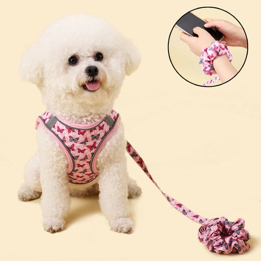 Winter Warm Small Dog Harness Leash Set Soft Puppy Vest Harness Cute Pet Traction Bracelet Small Cat Harness set Pet Accessories - Bdba PK