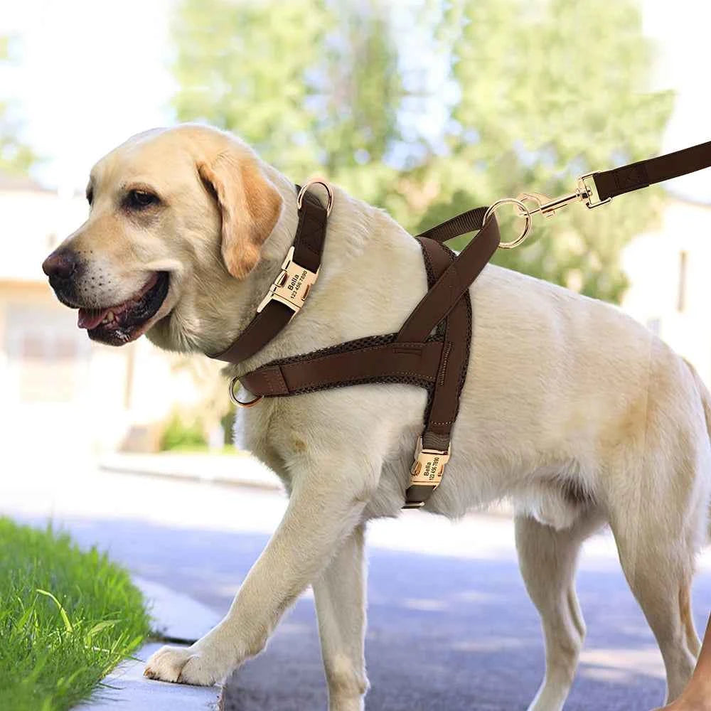 Personalized Dog Collar Harness Leash Set Custom Dog Collars No Pull Pet Vest For Small Medium Large Dogs Pets Walking Lead Rope