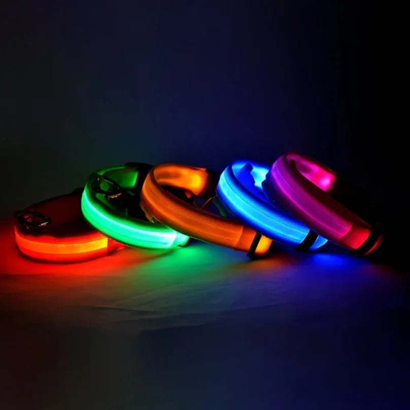 Nylon LED Luminous Dog Collar Leash Set Night Safety Flashing Glow In The Dark Fluorescent Pet Dog Walking Lead Anti-lost Night