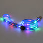 Dog Colorful Led Dog Luminous Collar Rechargeable Luminous Dog Rope Nylon Pvc Wrapped Tape Pet Luminous Collar