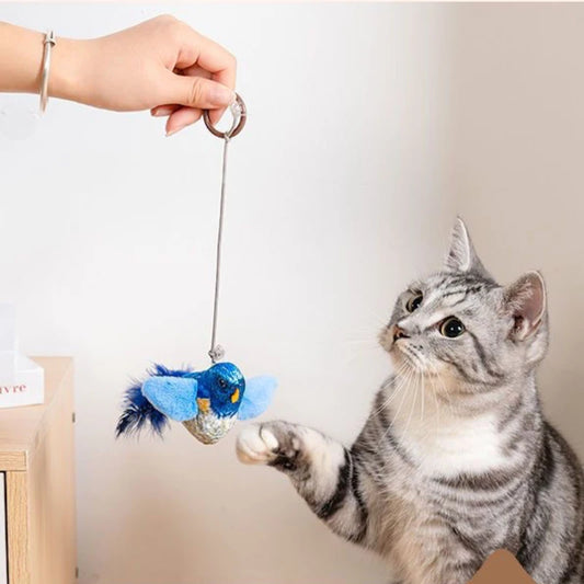 Wall Hanging Catnip Bird Cat Teaser – Indoor Sounding Self-Play Toy for Cats - Bdba PK