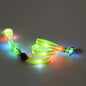 Dog Colorful Led Dog Luminous Collar Rechargeable Luminous Dog Rope Nylon Pvc Wrapped Tape Pet Luminous Collar