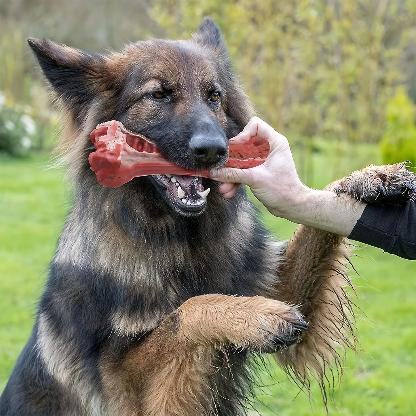Natural Rubber Silicone Dog Bite Toy – Non-Toxic Teeth Cleaning Bone for Strong Chewers - Bdba PK