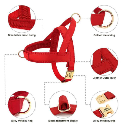 Personalized Dog Collar Harness Leash Set Custom Dog Collars No Pull Pet Vest For Small Medium Large Dogs Pets Walking Lead Rope