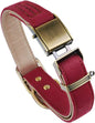 Fench BULLDOG Collar Chede Basic Classic Luxury Padded Leather Dog Collar The Seatbelt Buckle for Large Medium Small Pets