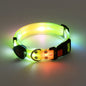 Dog Colorful Led Dog Luminous Collar Rechargeable Luminous Dog Rope Nylon Pvc Wrapped Tape Pet Luminous Collar
