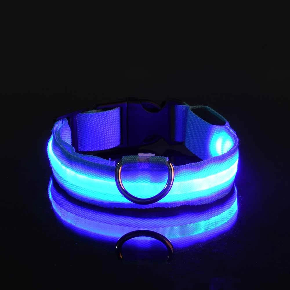 Nylon LED Luminous Dog Collar Leash Set Night Safety Flashing Glow In The Dark Fluorescent Pet Dog Walking Lead Anti-lost Night
