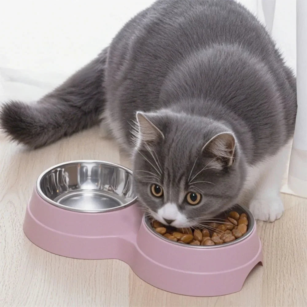 Pet Cat & Dog Dual Bowl - 2-in-1 Food & Water Bowl for Medium Cats, Puppies, Pet Feeding Supplies - Bdba PK