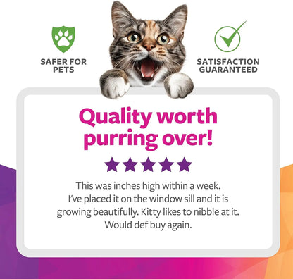 Organic Oat Grass Cat Grow Kit, Easy-to-Grow for Digestion & Hairball Support, All-in-One Solution