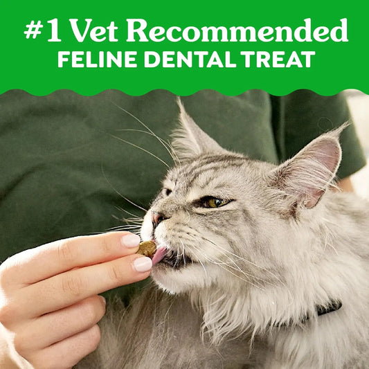 Feline Adult Dental Cat Treats – Oven Roasted Chicken Flavour 21oz Tub - Bdba PK