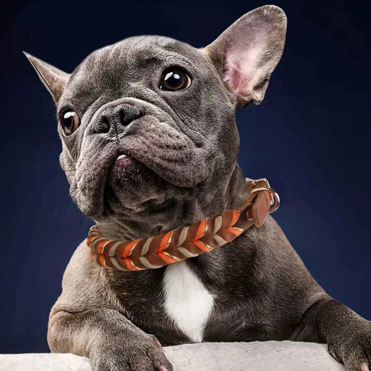 Brown Leather Dog Collar And Leashes Suit Woven Patterns Beautiful Durable Nylon Orange Colors Rope Hand Free Design 2026 New