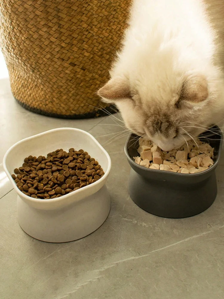 1Pc Pet bowl, water and food feeder, for cat and small dog - Bdba PK